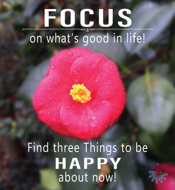 Focus on What's Good in Life