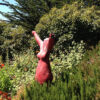 Stephanie Riseley, Los Angeles Hypnotherapy
