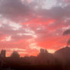 Stephanie Riseley Hypnotherapy Los Angeles