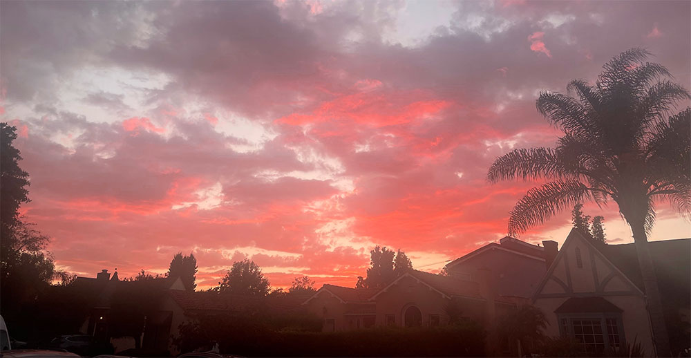 Stephanie Riseley Hypnotherapy Los Angeles