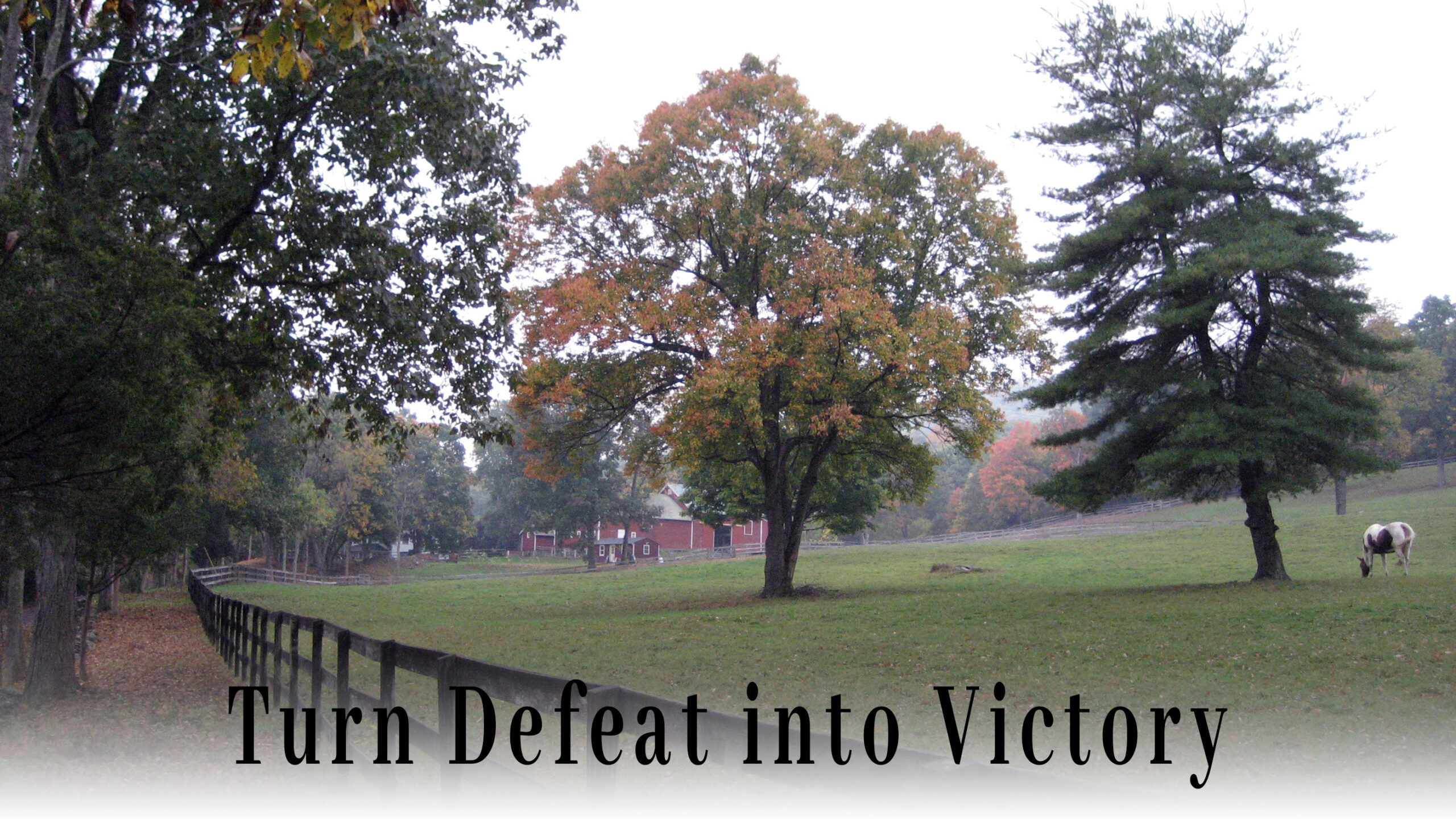 Turn Defeat into Victory