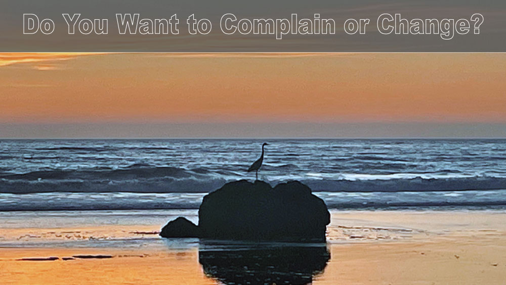 Stephanie Riseley - Los Angeles Hypnotherapy and Past Life Regressions